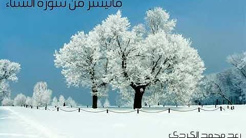 ماتيسر من سورة النساء رعد الكردي