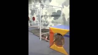 đội quân nhí nhố