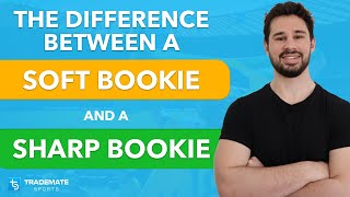 Sharp vs Soft Bookmaker - What's the Difference & Which Type of Bookie is Easier to Make Money From? screenshot 2