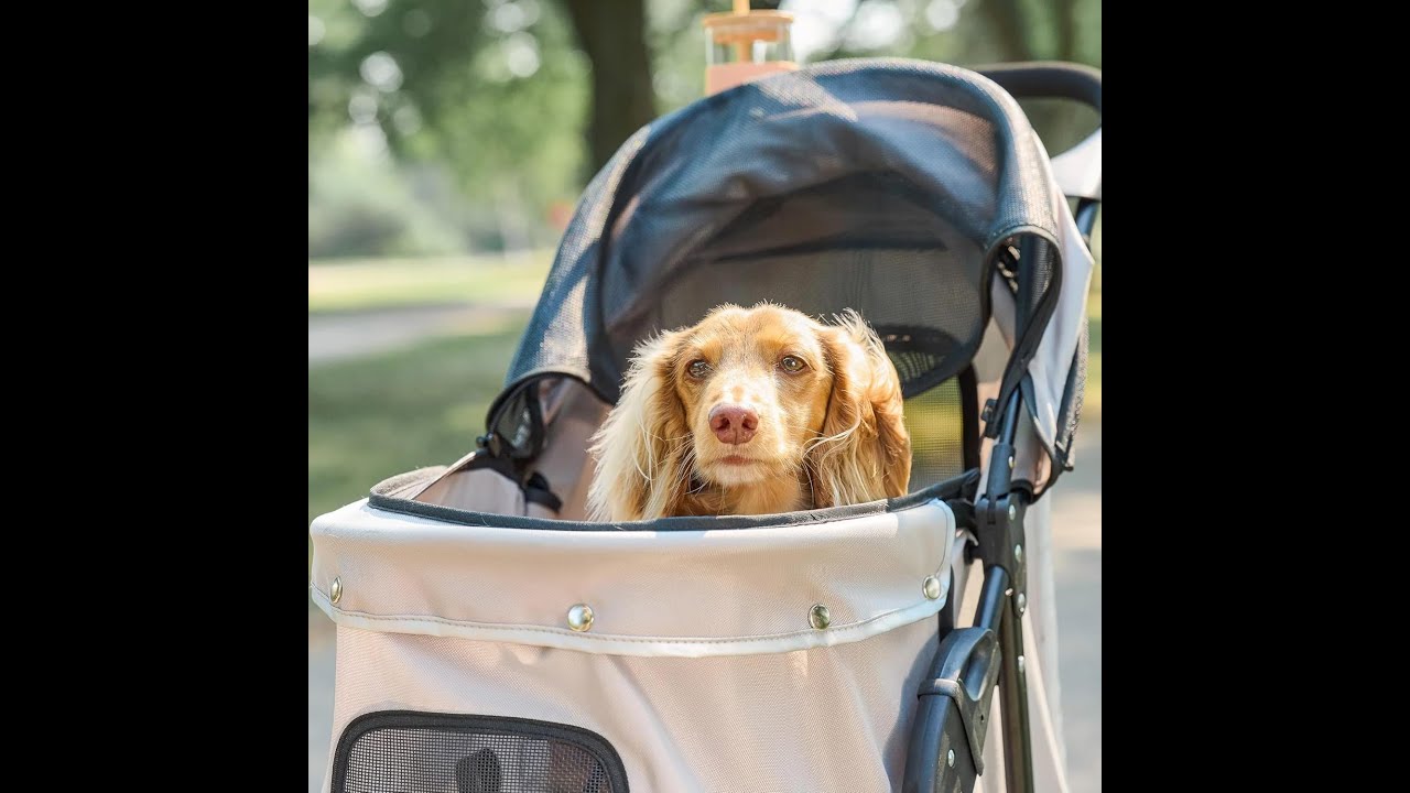 Carlson Pet Products Stroller, Includes 360 Degree Front Wheel Swivel, Rear Wheel Breaks