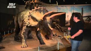 When two great dinosaurs fight, who will be winner MBC Documentary Special 20140127