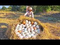 OMG unique -A woman picked a lot of duck eggs from the straw in the rice field.