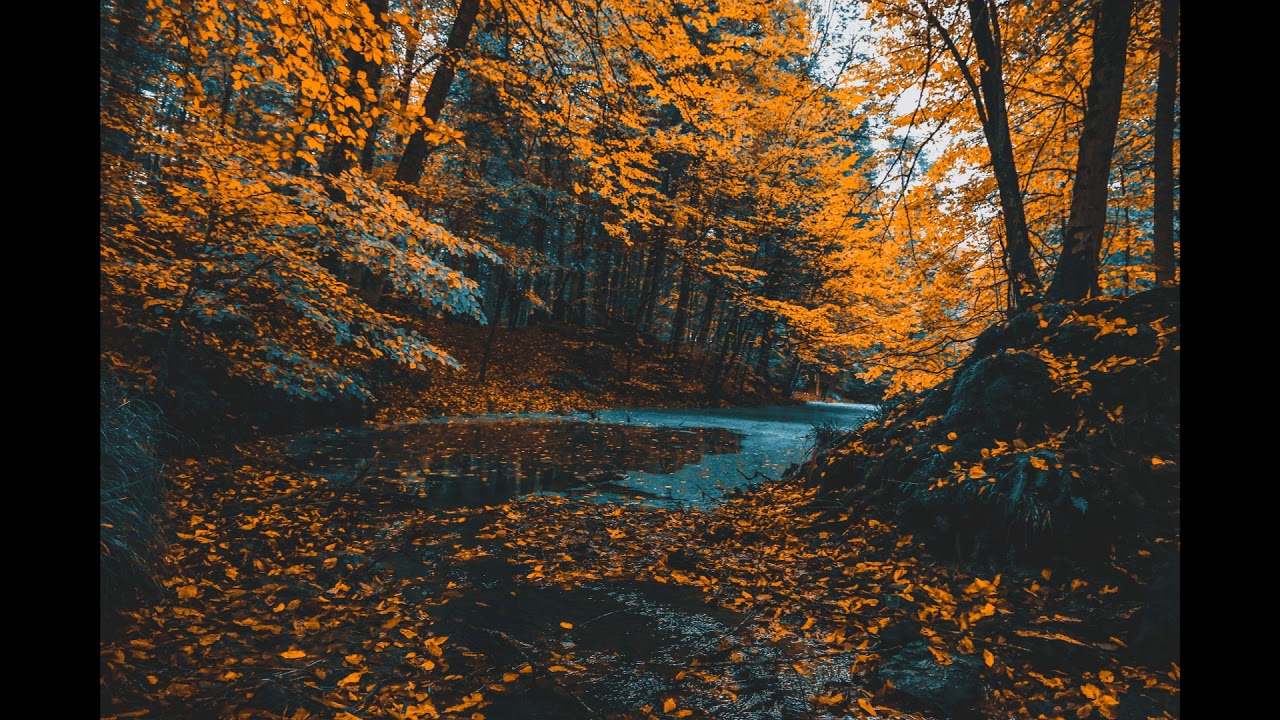 Autumn(Copy & Paste) - YouTube