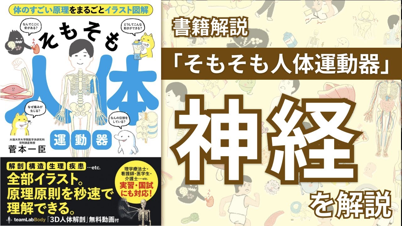 書籍解説】筋について「そもそも人体運動器」 - YouTube