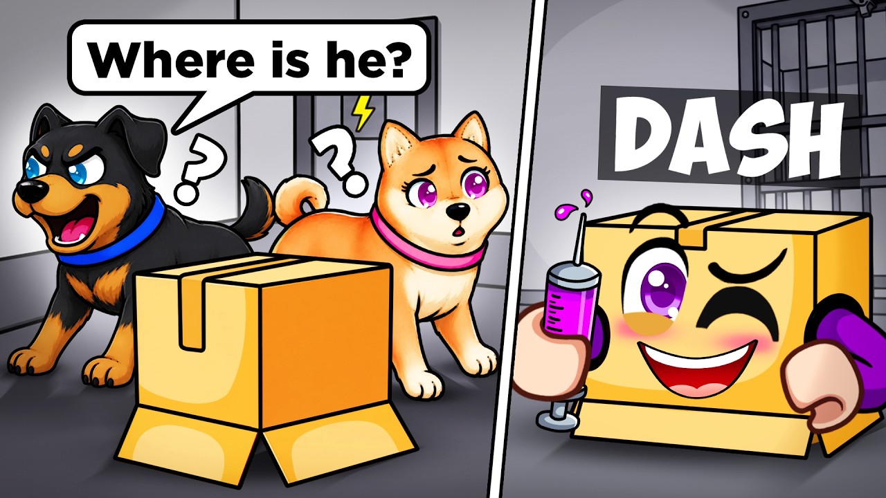 I Wore a BOX in Roblox Dog Pound and NO ONE Killed Me...
