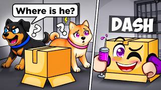 I Wore a BOX in Roblox Dog Pound and NO ONE Killed Me...