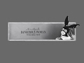 Ariana Grande` Live Stream
