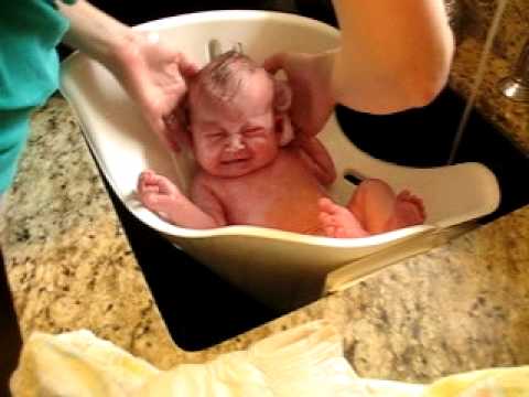 Darcy's First Bath