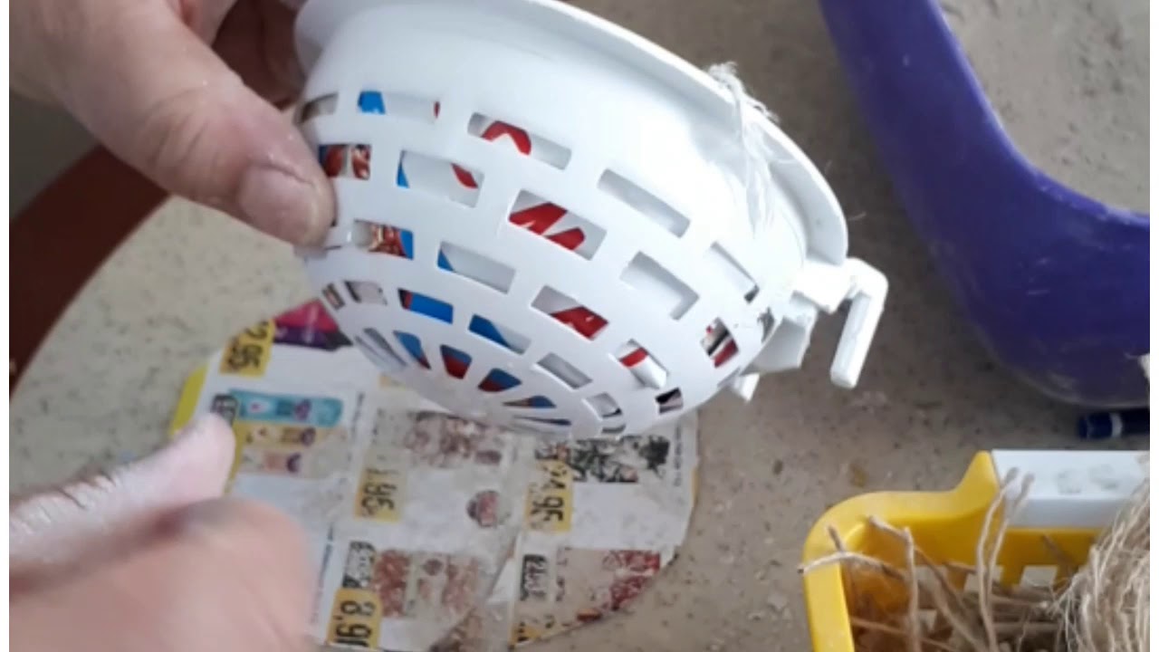 KANARYALARDA YUVA YAPIMI(BİT OLUŞUMU NASIL ÖNLENİR?)HOW TO MAKE NESTS FOR BIRDS? HOW TO AVOID LOUSES