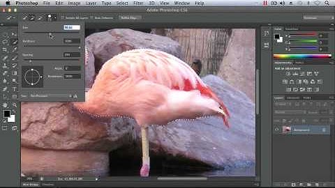 Using the Quick Selection Tool - Adobe Photoshop CS6 Tutorial