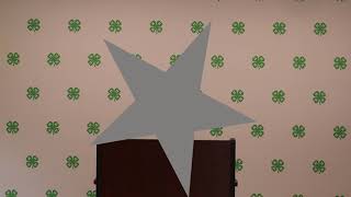 Putnam County 4-H Public Speaking Awards 2021