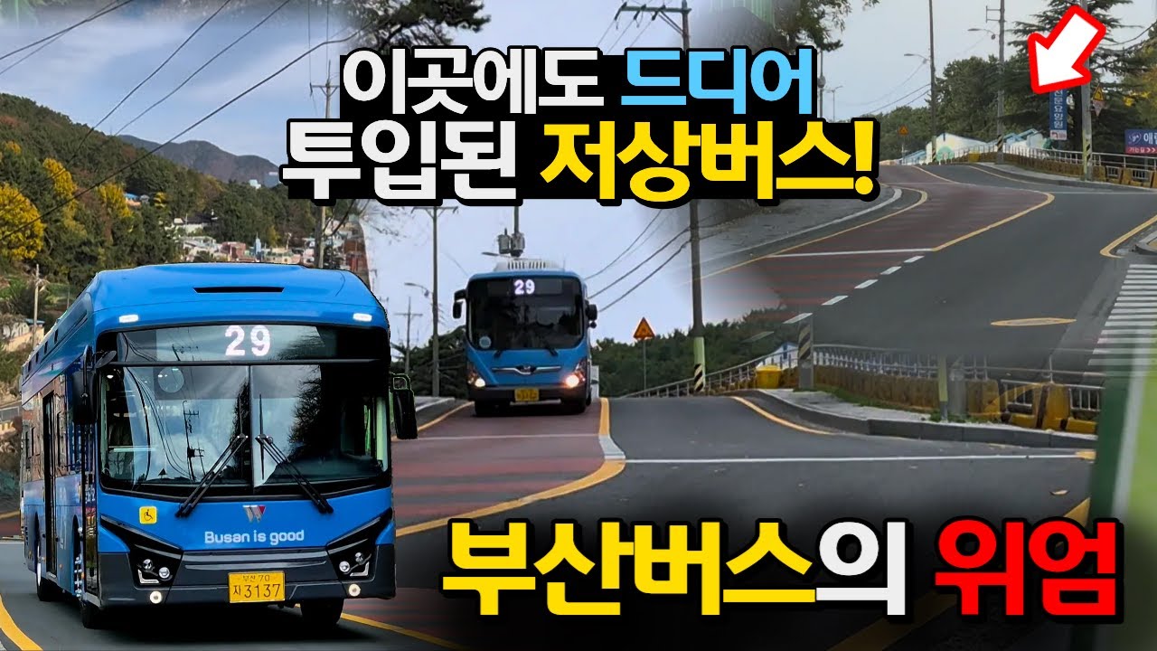 이곳에도 드디어 저상버스가 투입됐다고? 안창마을 구간 가봄!