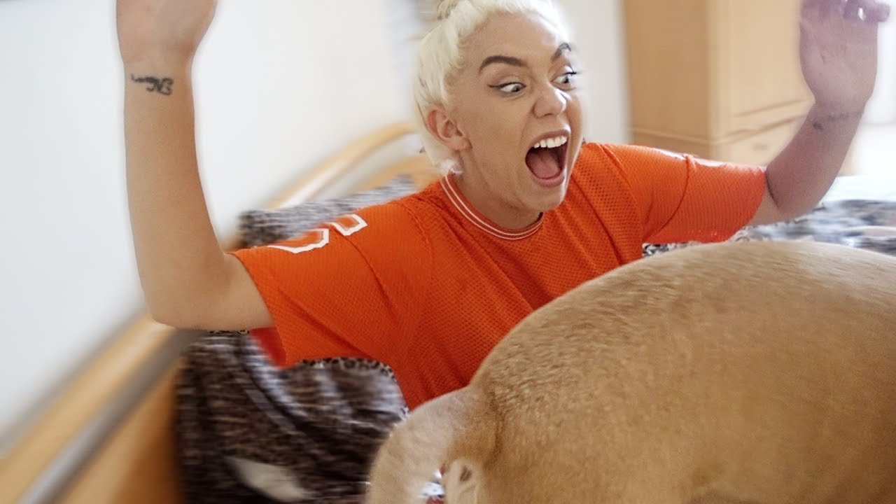 MY DOG PEED ALL OVER ME | Pet Vlog | NICOLE SKYES