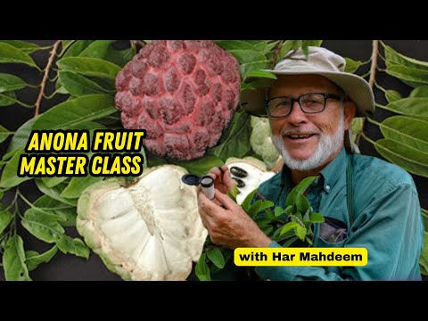 Anona Masterclass: Sugar Apple, Cherimoya, and More with Har Mahdeem (Live Lecture)