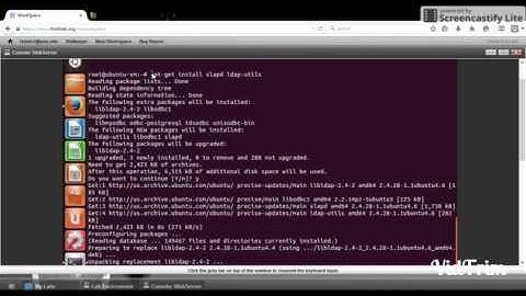 CNS Lab3: CAS and LAPD Authentication
