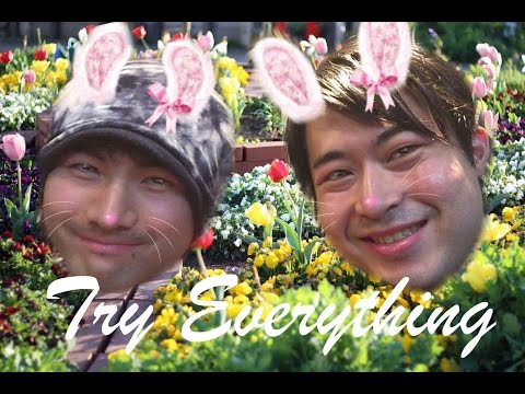 ズートピア主題歌【try everything】弾いてみた