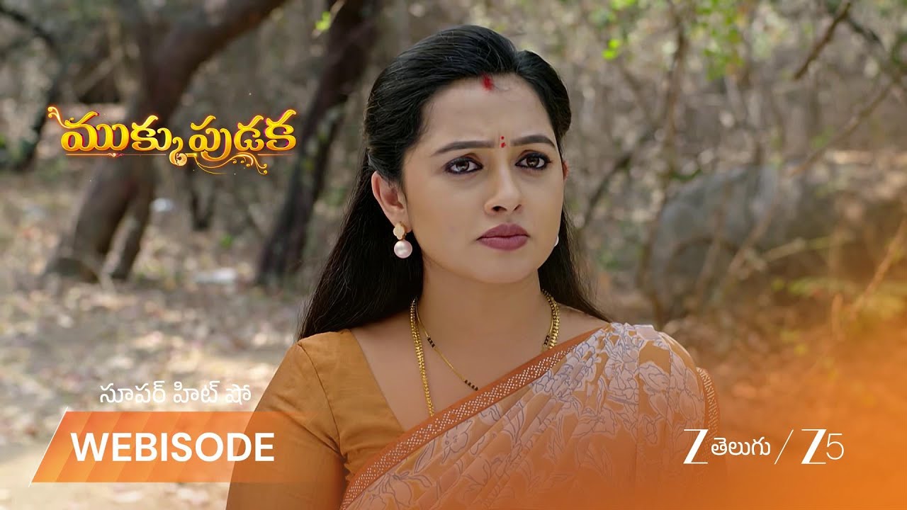 МУККУПУДАКА | Объяснение Шрикара по поводу автомобильной аварии