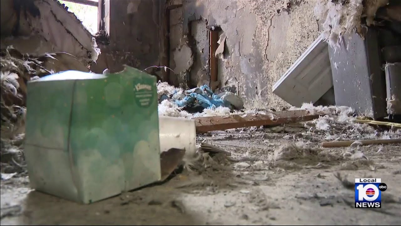 Family left homeless after fire destroys Coconut Grove residence - YouTube