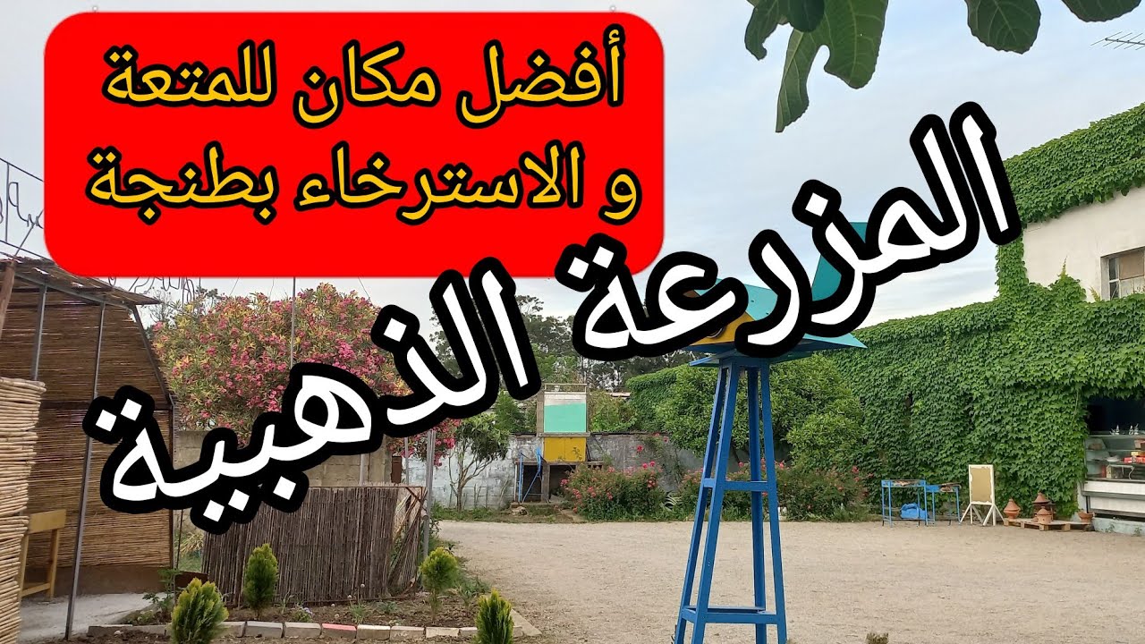 #bio المزرعة الذهبية جليسات بلديين و الراحة النفسية و كل  أطباق الأكل من إنتاج المزرعة