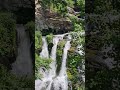 Waterfall Wandering in North Carolina