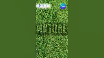 Transparent Text Effect Using Canva ✨ | Easy & Stylish Text Reveal Trick!