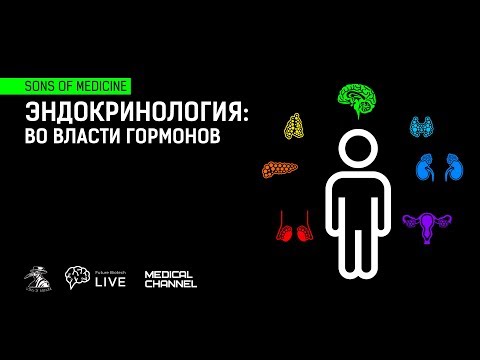 Эндокринология: во власти гормонов
