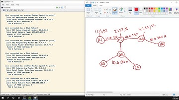 OSPF Graphs Pt1 - Single Area