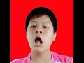 Indonesia song deepfake template