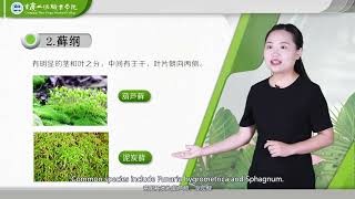 4.3 Identification of bryophytes