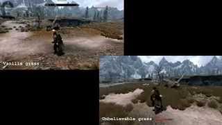 Miniatura del video "Skyrim Unbelievable Grass HD mod comparison"