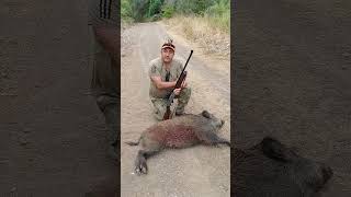 Commodore Arms C202 Ile Domuz Avı 120 Metre