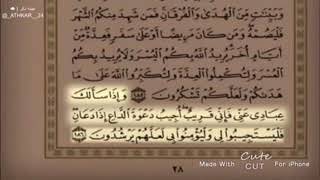 ايات من القران الكريم تعطى امل فى الحياه 😍