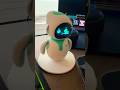 Eilik robot is fired up!⛽