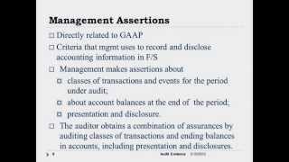 Audit Responsibilities and Objectives - Prof. Helen Brown