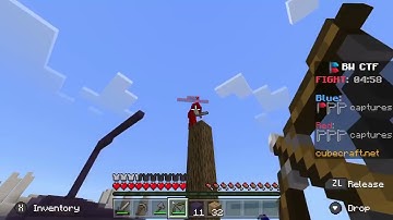 Cubecraft bedrock player report