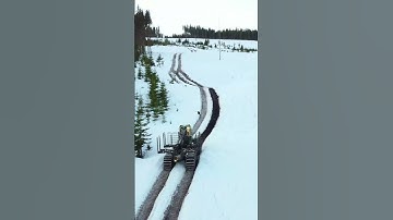 John Deere Forwarder in Action: Logging in Norway