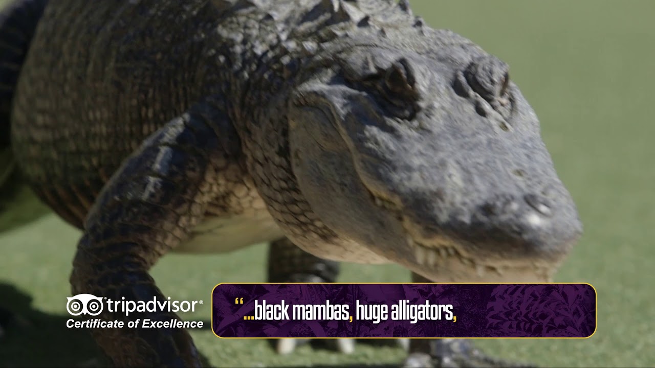 family vacation destinations in the us Reptile Gardens Beyond Expectations