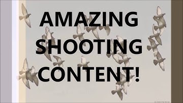 *EXPLODING TARGETS* Test on firebird explosion targets