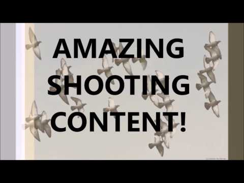 *EXPLODING TARGETS* Test on firebird explosion targets