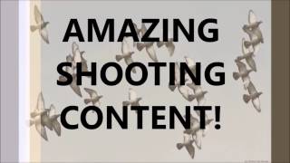 *EXPLODING TARGETS* Test on firebird explosion targets