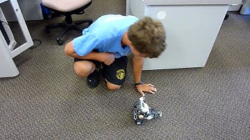 A Sound Activated Robot (Clap On, Clap Off!)