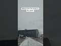is there a Lion on IRL Plane?