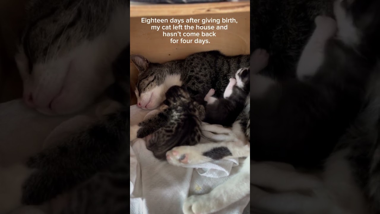 Little but brave 🐾❤️ 