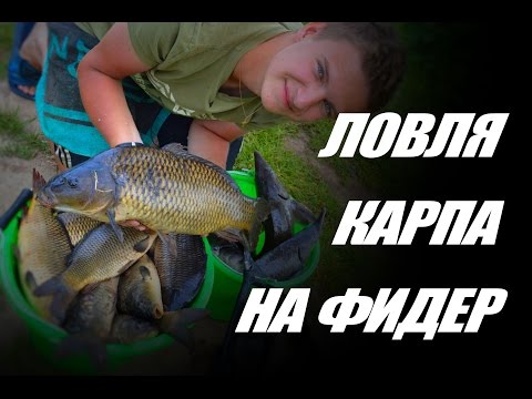 фидерная рыбалка фильм фидерная рыбалка фильм