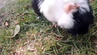 제니 혼자.Jennie Solo Teaser Yj Entertamient