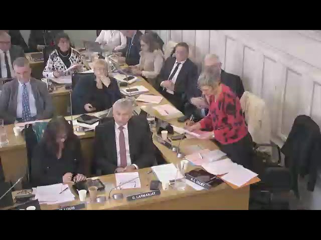 Anne-Laure OLLIET - Intervention sur le budget primitif 2025 - Session de février 2025