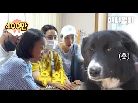 새로 생긴 가족이 너무나 좋았던 강아지가 매일 한 행동ㅣDog Loves Her Family So Much <strong>For</strong> Adopting Her And In <strong>Return</strong>..