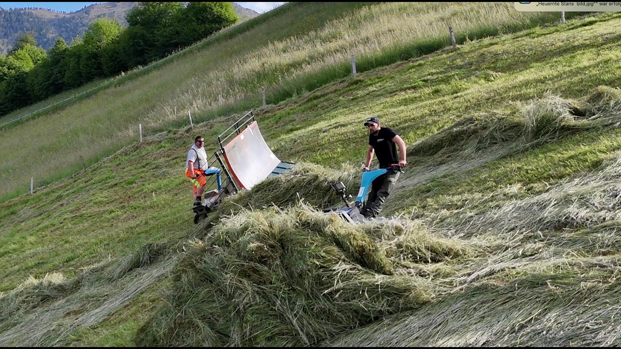 Heuernte am Hang vom mähen bis in den Ladewagen 🇨🇭⛰️ mit Brielmaier 