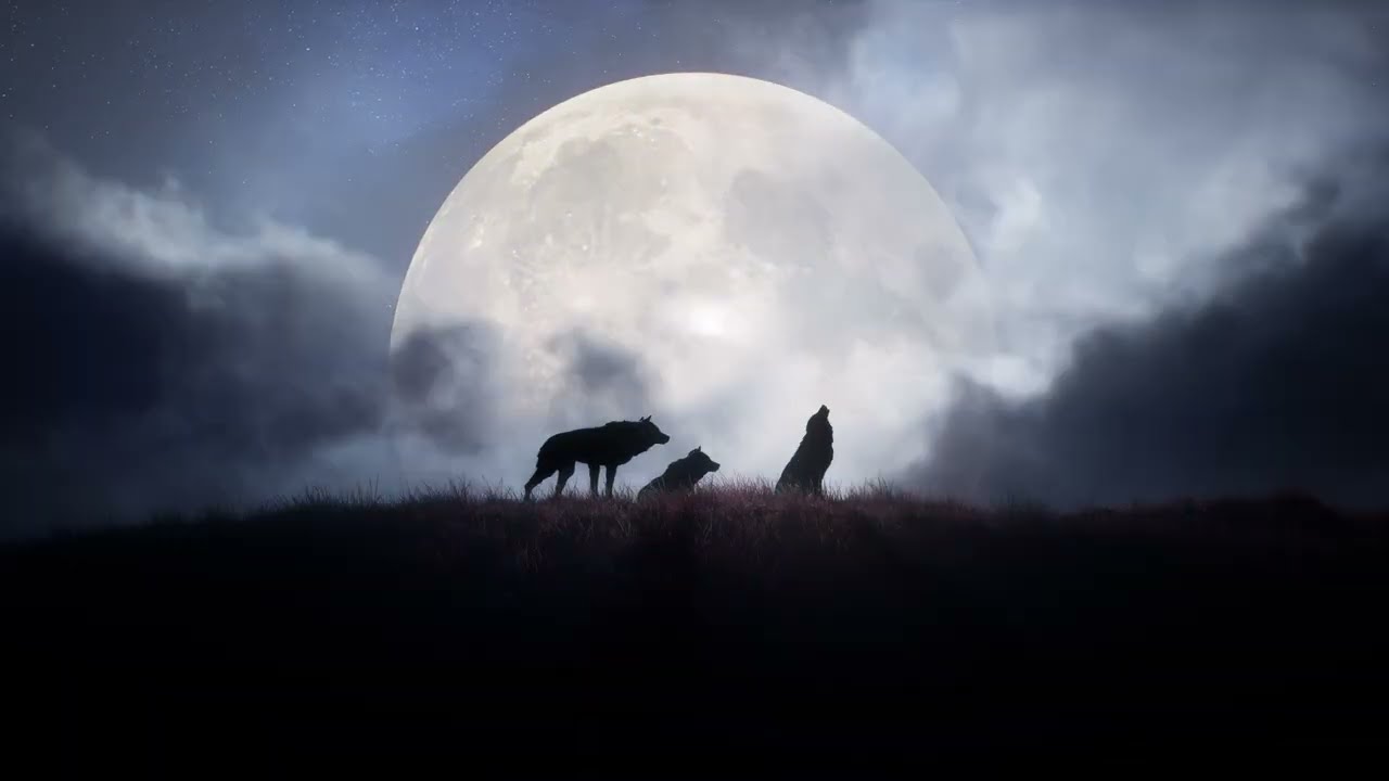 The Blood of Dawnwalker - Gamescom 2025 Gameplay Video