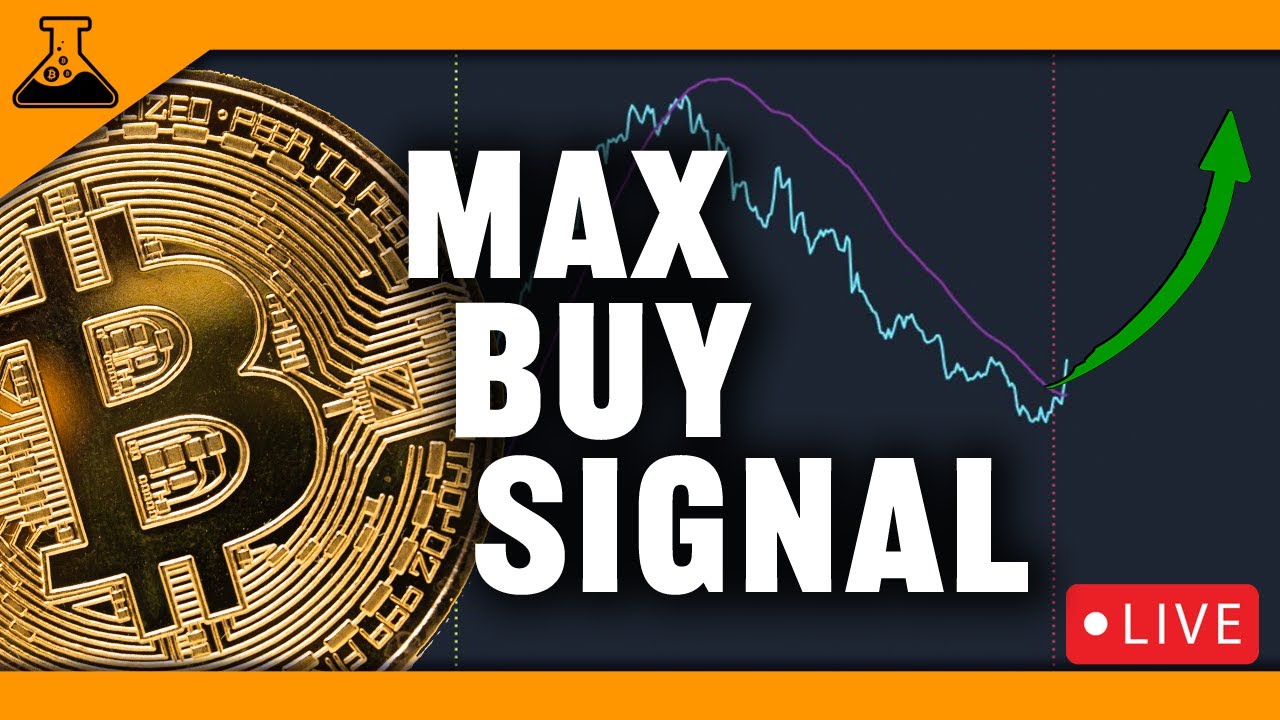 Bitcoin Max Buy Signal (Altcoins Set to Pump Or Dump?) Crypto Signals ...